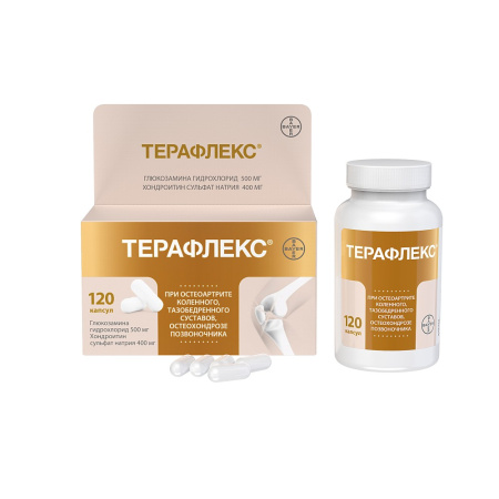 Терафлекс капсулы 500мг 400мг флакон №120