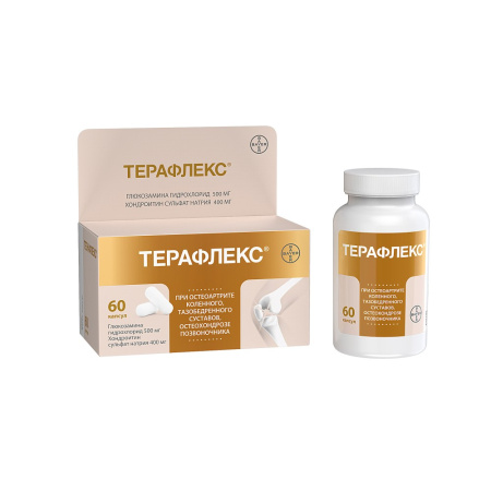 Терафлекс капсулы 500мг 400мг флакон №60